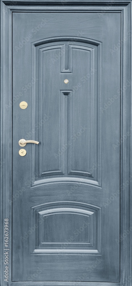 Entrance door (metal door) Entrance door (metal door)