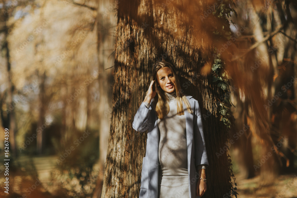 Beautiful pregnant woman outdoors Beautiful pregnant woman outdoors