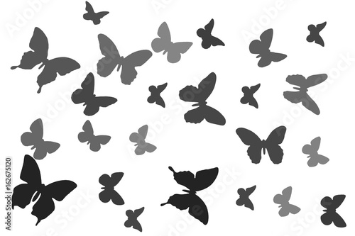 Butterfly flying on a white background. Winged insects are drawn.