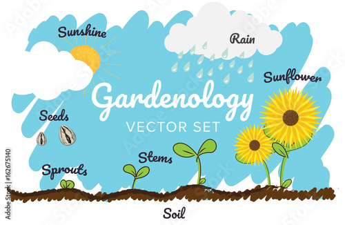 Growing Flowers Gardenology Vector Set