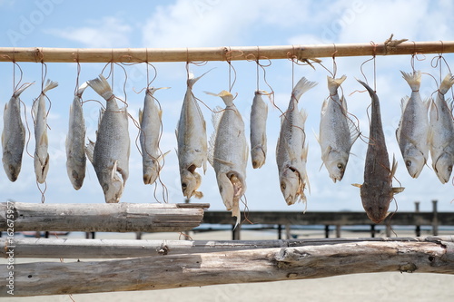 Fish hanging on the branch for drying - Fisherman lifestyle - soft focus
