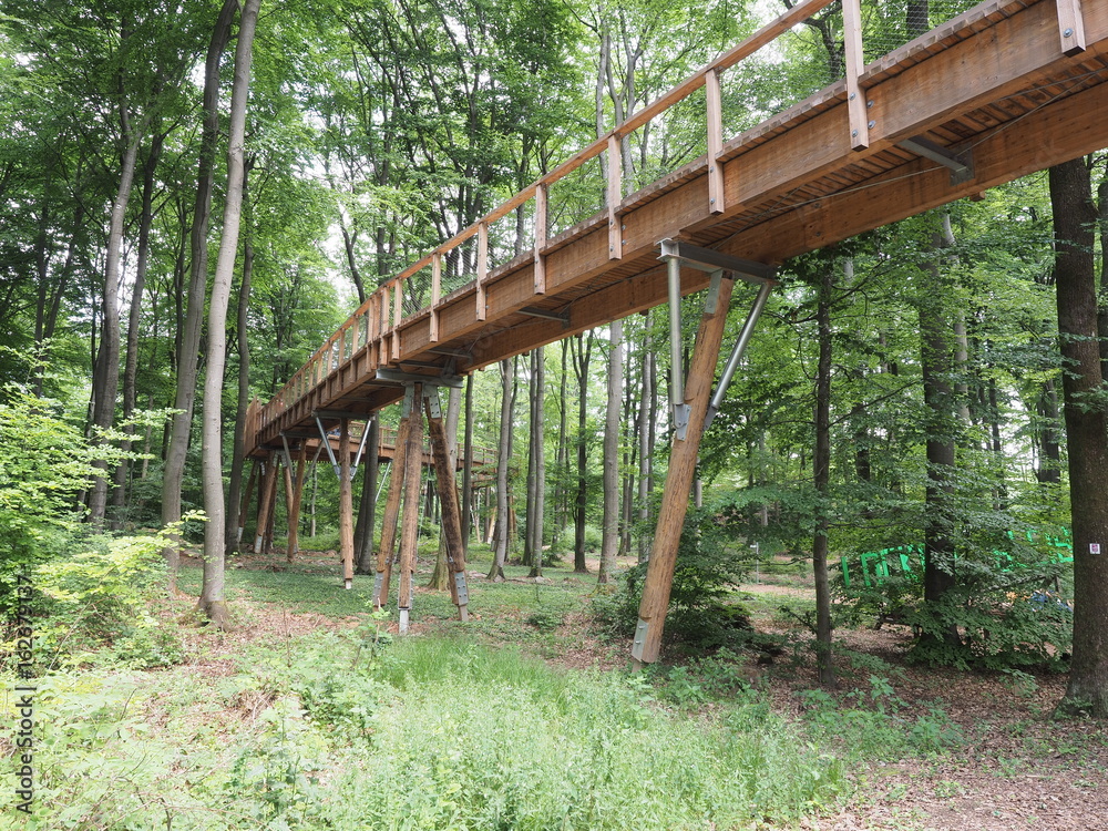 Baumwipfelpfad - Saarschleife - Orscholz - Saarland
Baumwipfelpfad - Saarschleife - Orscholz - Saarland
