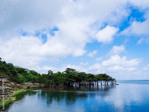 西表島の海岸 © makieni