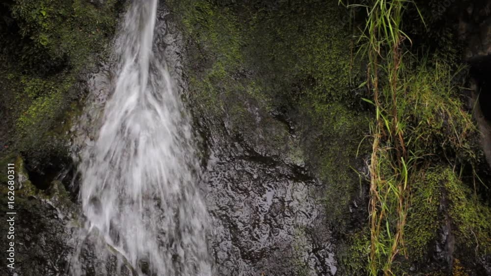 Small waterfall and moss covered rock Small waterfall and moss covered rock
