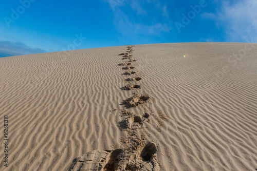 Namib Desert photo