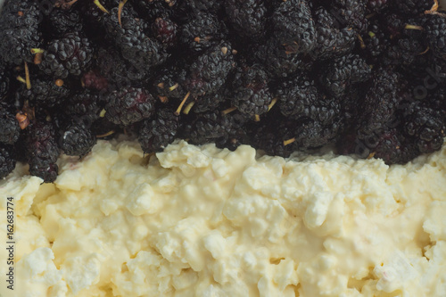 Morus nigra called Mulberry with black color and cottage cheese . Mulberries Food Background. photo