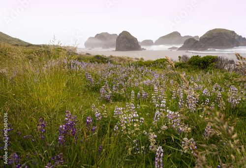 Oregon coast, Bandon beach on pacific coast