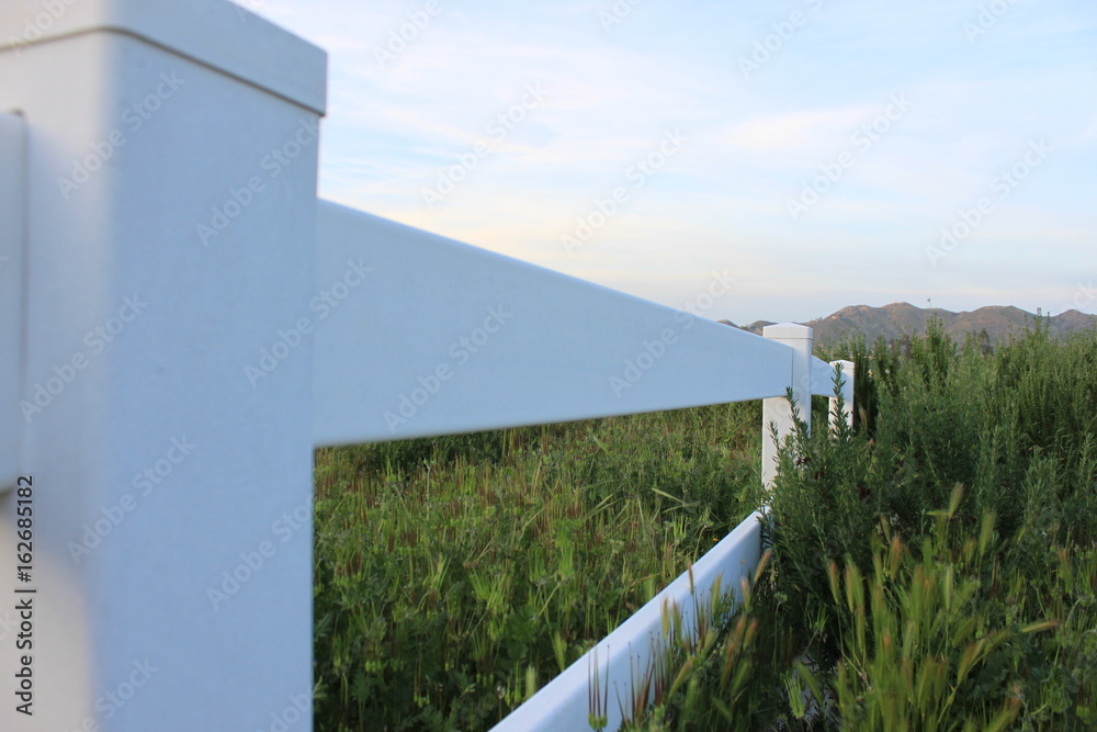 Fototapeta premium Fence view with grass and sky