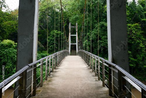 nature bridge