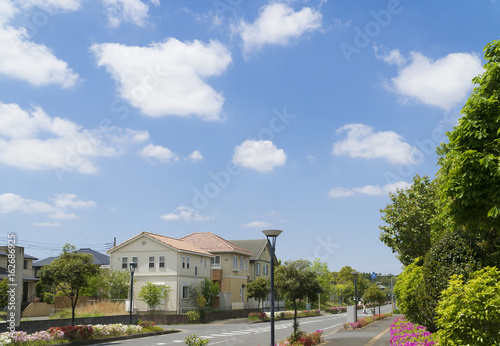 Wallpaper Mural 新築分譲住宅街　イメージ　青空　新緑 Torontodigital.ca