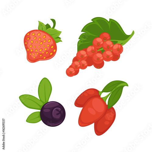 Fototapeta Naklejka Na Ścianę i Meble -  Set of different berries