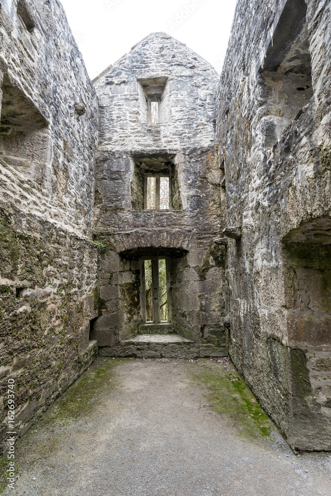 Ruins of Muckross Abbey