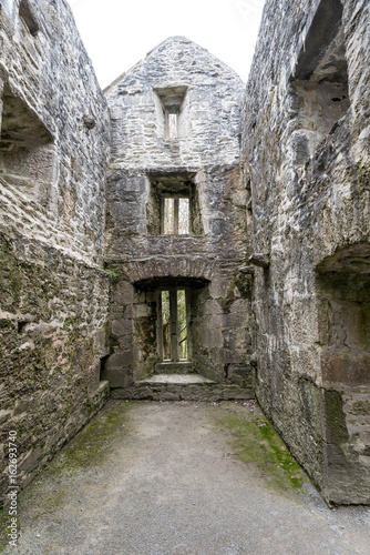 Fototapeta Naklejka Na Ścianę i Meble -  Ruins of Muckross Abbey
