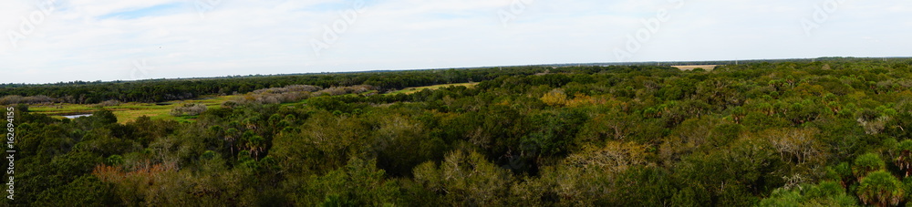Florida Meadows Florida Meadows