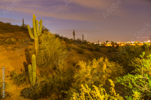 Nocturnal View of Phoenix