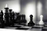 white chess victory again black