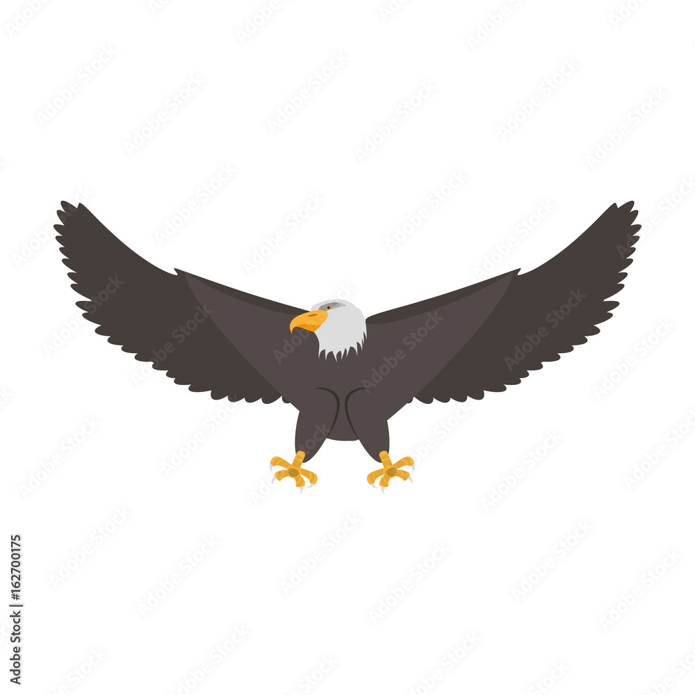 Hawk eagle symbol Hawk eagle symbol