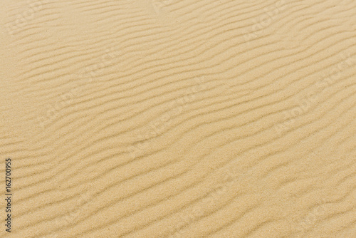 Sand Waves Dunes