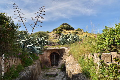 Nekropole Santu Pedru in Sardinien photo