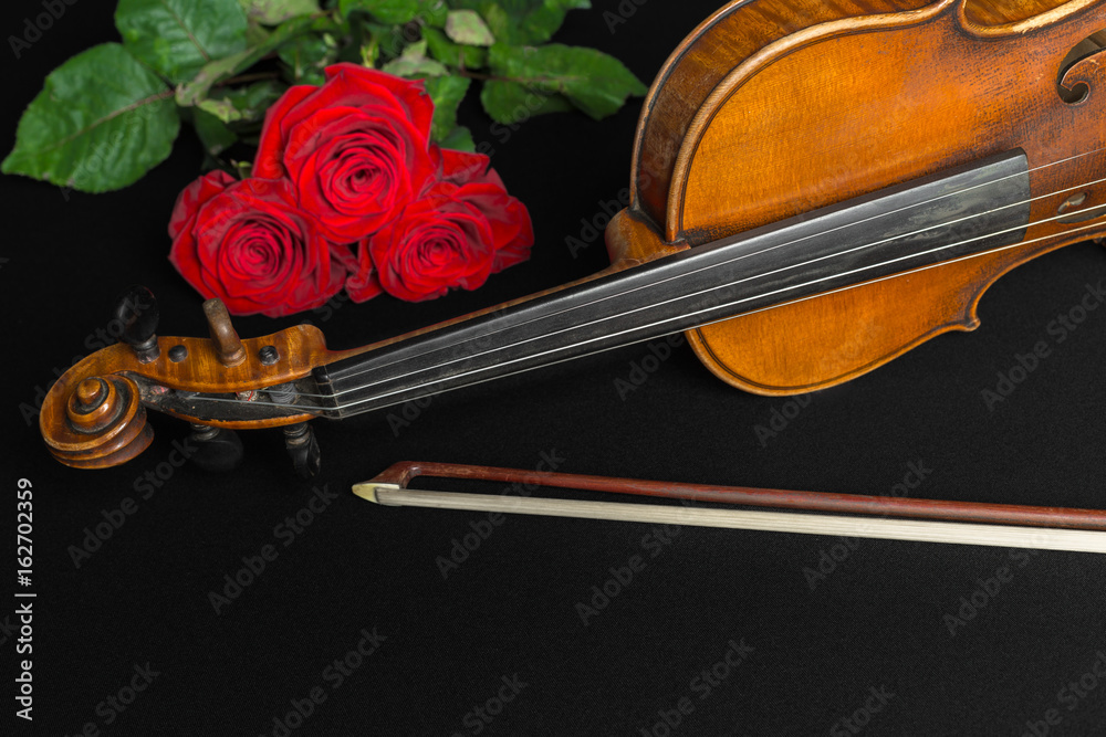 Fototapeta premium Violin and rose on black background.