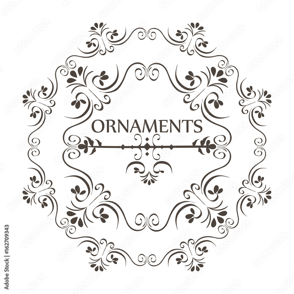Ornaments sign with beautiful border and round frame over white background vector illustration Ornaments sign with beautiful border and round frame over white background vector illustration