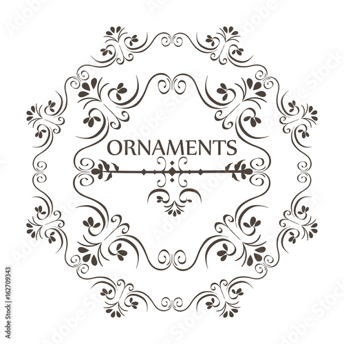 Ornaments sign with beautiful border and round frame over white background vector illustration