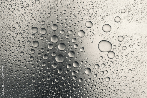 Wallpaper Mural Water drops on silvery surface, background	 Torontodigital.ca