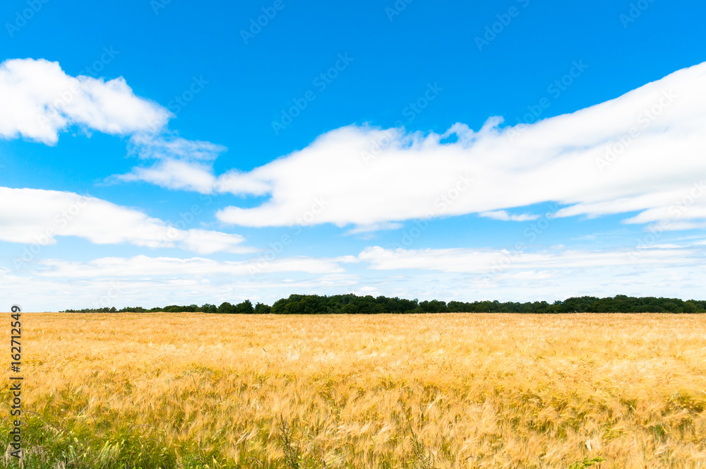 Kornfeld Kornfeld