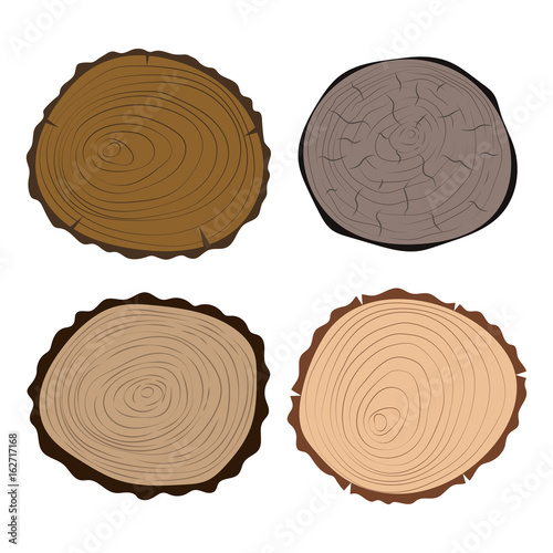 Wood slice texture tree circle cut raw material set detail plant years history textured rough forest vector illustration.