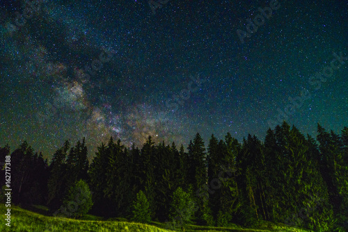 Landscape of night with trees and stars in the sky