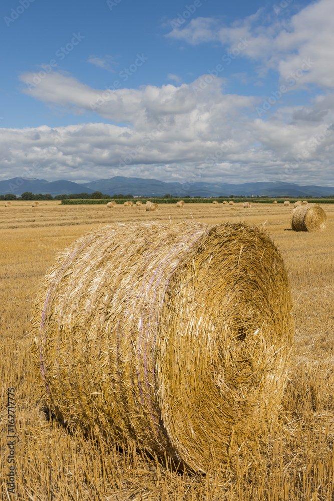 Straw Bale on Grain Field France