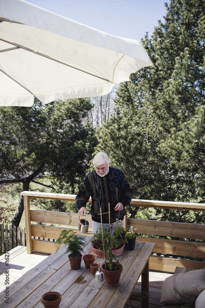 High angle view of senior man watering potted plants at table against trees High angle view of senior man watering potted plants at table against trees
