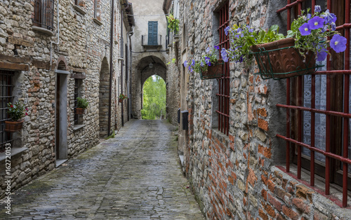 Fototapeta Naklejka Na Ścianę i Meble -  Street with Flowers in Mombaldone Piedmont