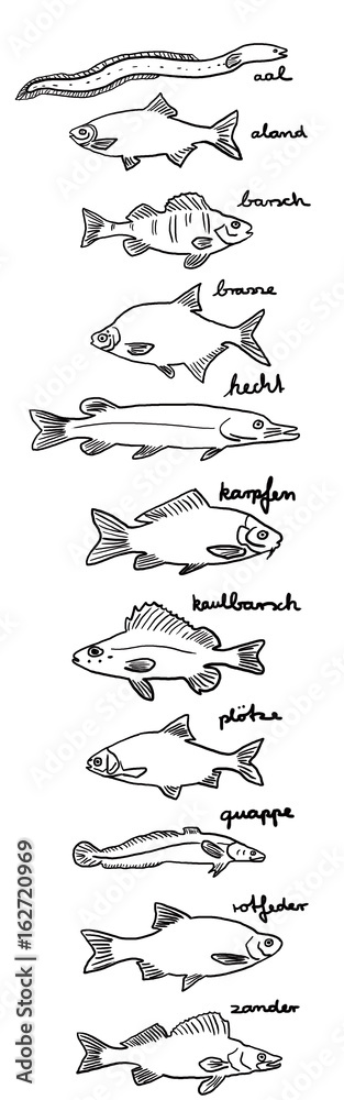 Fototapeta premium Fische in Berlin