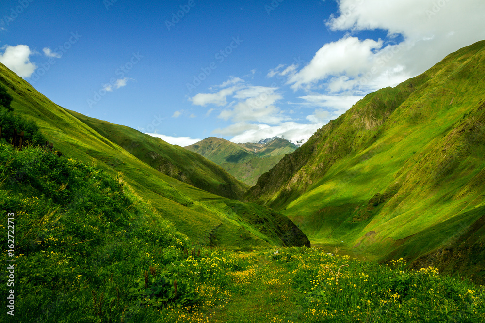 The green Caucasian valley in summer looks like Alps - obrazy, fototapety, plakaty 