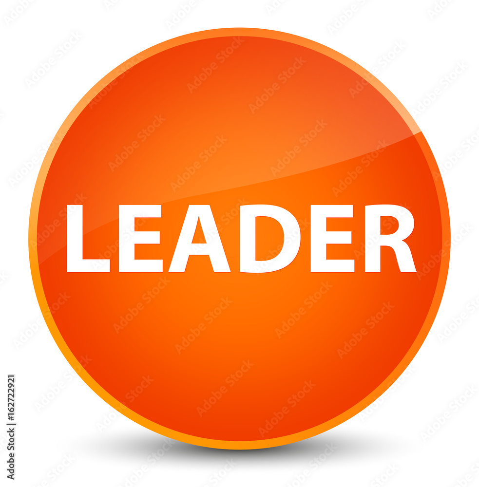 Leader elegant orange round button