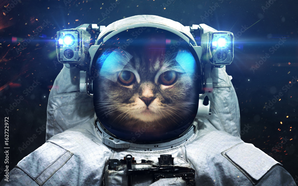 Science fiction space wallpaper with cat astronaut, incredibly beautiful planets, galaxies, dark and cold beauty of endless universe. Elements of this image furnished by NASA - obrazy, fototapety, plakaty 