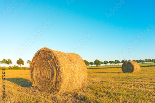 Hay circles on the field 