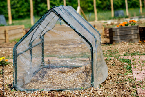 Cuadro en lienzo small greenhouse for vegetable seedlings in the spring garden