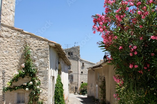 Joucas,petit village de Provence dans le Luberon,Vaucluse photo