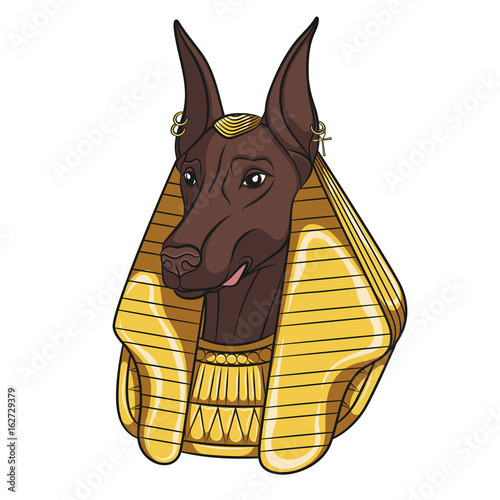 Color vector image Anubis. Isolated object on white background.