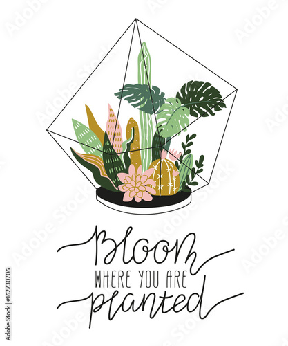 Hand drawn  contained tropical house plants. Scandinavian style illustration, home decor. Vector print design with terrarium and lettering - 'bloom where you are planted'.