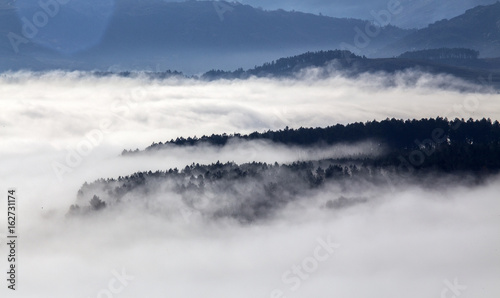 Niebla en el bvalle © Tony