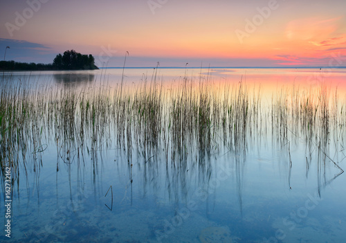 Sonnenaufgang am Ufer der Müritz, Schilf im Wasser photo