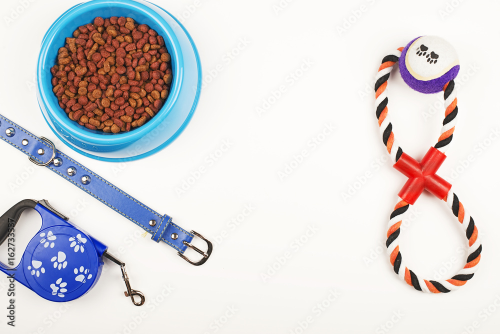 Food, toy and dog leash on white background. Isolated.