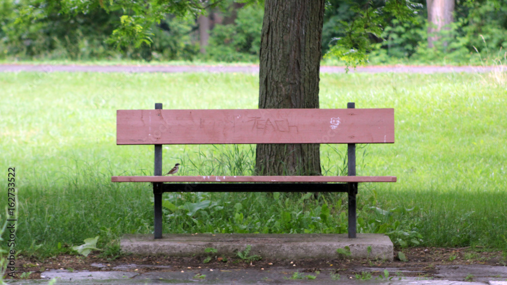 One bench One bench