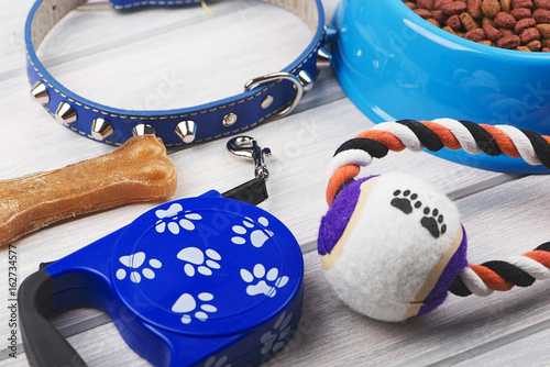 Leash, jugute, bone and bowl of dog food