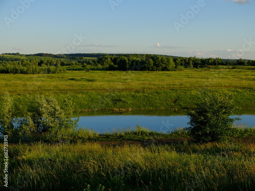 Ручей в поле