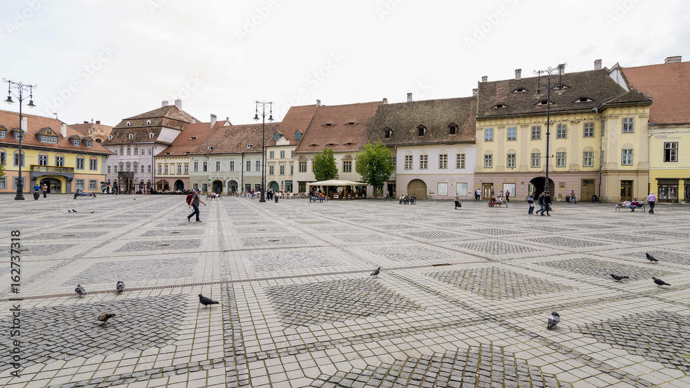 Pigeons in Piata Mare, Large Square, in the historic center of Sibiu, Romania, very quiet with few people around