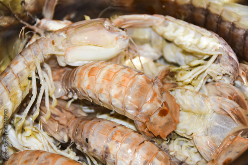 mantis shrimps Oratosquilla oratoria food ingredient cooking